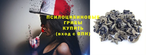 спиды Ладушкин