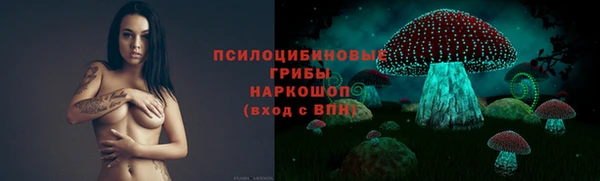 спиды Ладушкин