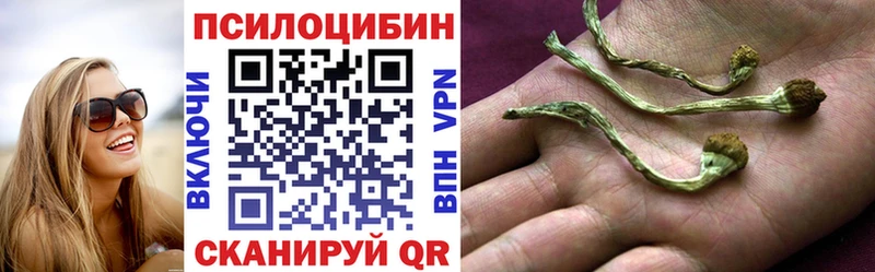 ссылка на мегу   Эртиль  Галлюциногенные грибы MAGIC MUSHROOMS 
